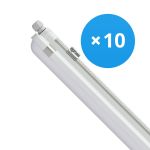 Multipack 10x Philips LED Waterproof Batten CoreLine WT120C 42.9W 6000lm - 840 Cool White | 150cm