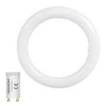 Noxion LED Tube T9 Avant Circular (EM/Mains) 12W 1200lm - 840 Cool White | Replaces 22W